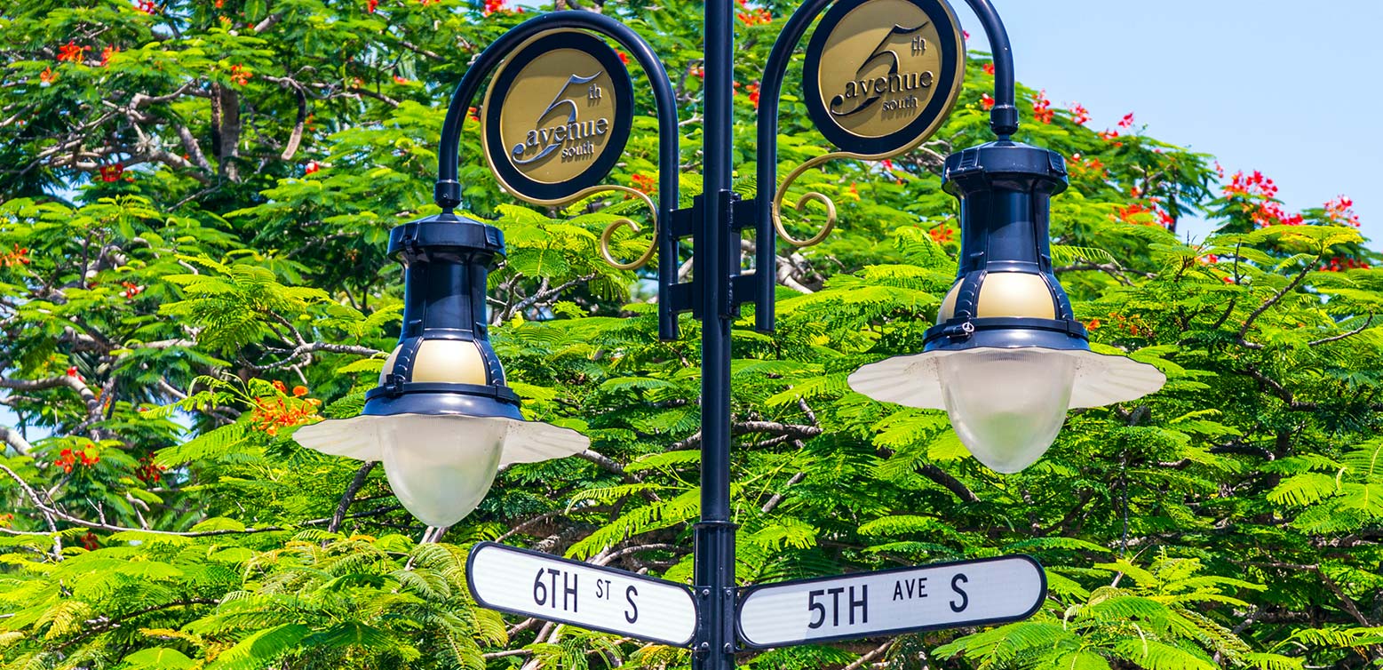 5th Avenue street signs