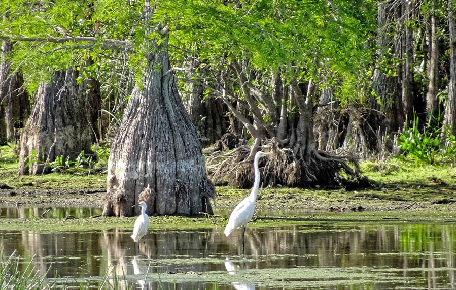 State Parks near Marco Island