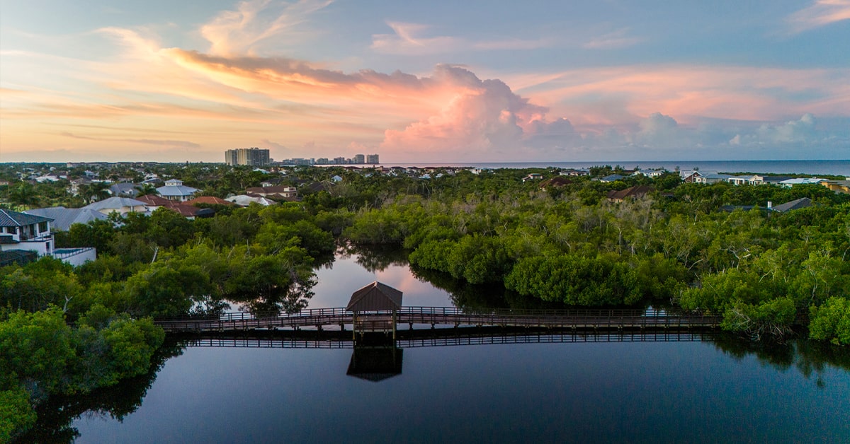 aerial of the water