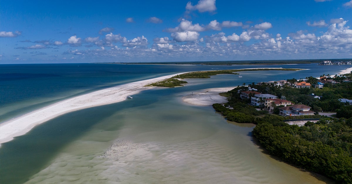 aerial of the beach