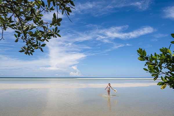 Sandbars Marco Island