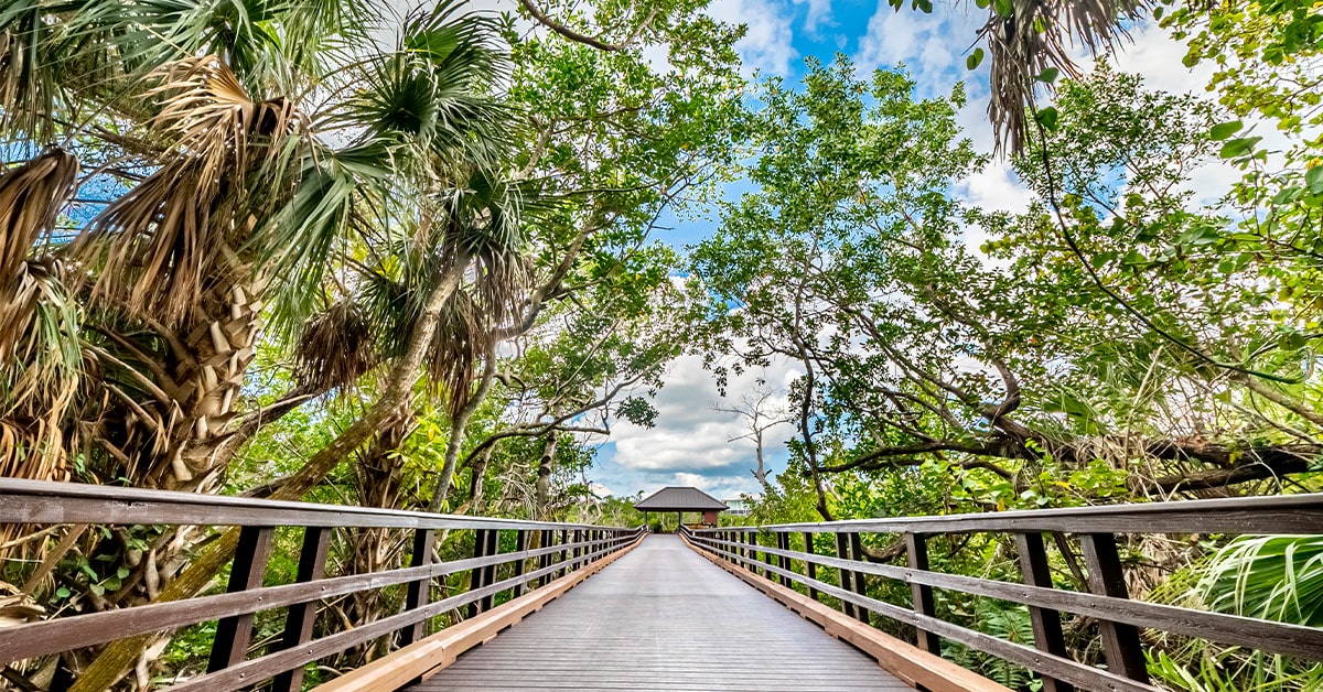 Florida Boardwalk
