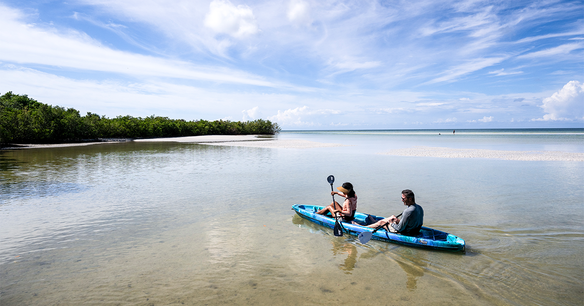 Two people kayaking in calm shallow waters near mangroves under a bright blue sky.