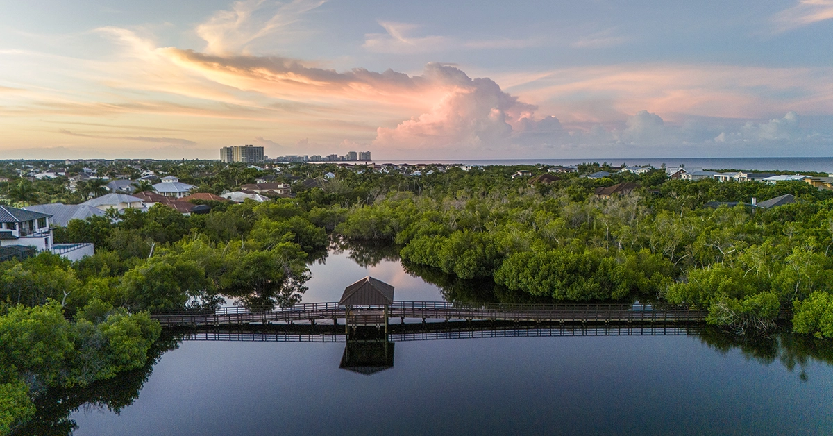 Wooden boardwalk crossing a mangrove preserve at sunset